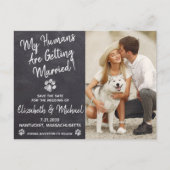 Rustic Dog Wedding Dog Save the Date Aankondigingskaart (Voorkant)