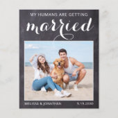 Rustic Dog Wedding Photo Budget Save the Date Kaar (Voorkant)