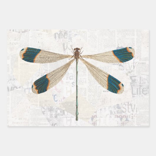 Rustic Dragonfly ontkoppeling van ontkoppeling Inpakpapier Vel (Voorkant 2)
