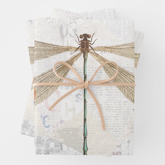 Rustic Dragonfly ontkoppeling van ontkoppeling Inpakpapier Vel (In situ)