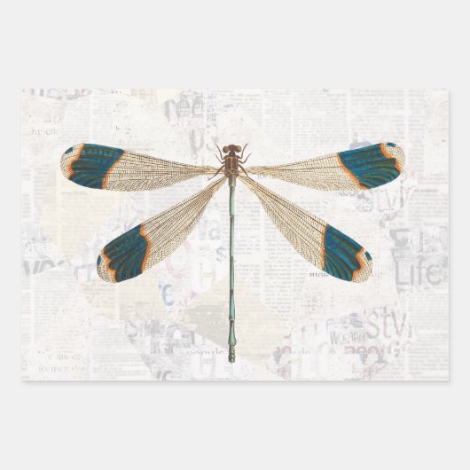 Rustic Dragonfly ontkoppeling van ontkoppeling Inpakpapier Vel (Voorkant)