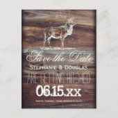 Rustic Elk Wildlife sparen de Briefkaarten van de  (Voorkant)