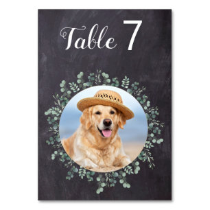 Rustic Eucalyptus Chalkboard Dog Foto Pet Weddensc Kaart