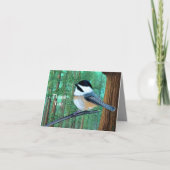 Rustic Evergreen Pine Chickadee Bedankkaart (Voorkant)