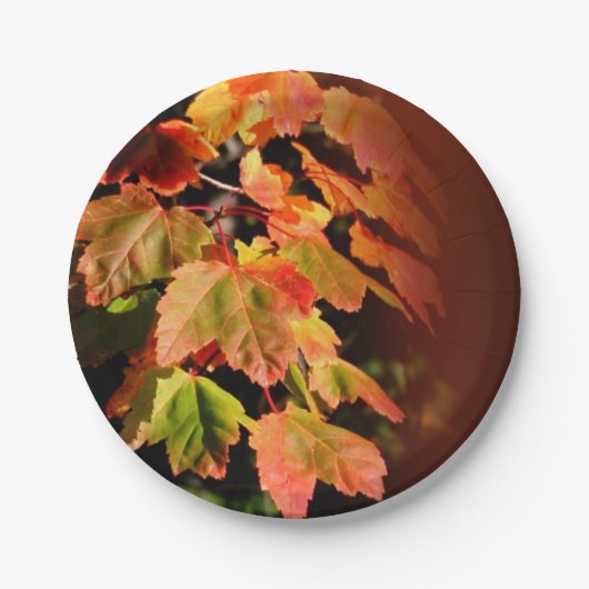 Rustic Fall Wedding Autumn Foliage Photo Leaves Papieren Bordje (Voorkant)