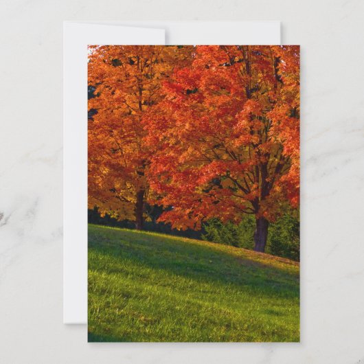 Rustic Fall Wedding Invitation Colors Kaart (Achterkant)