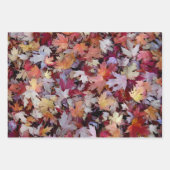 Rustic Fallen Autumn Tree Leaves Pattern Inpakpapier Vel (Voorkant 3)