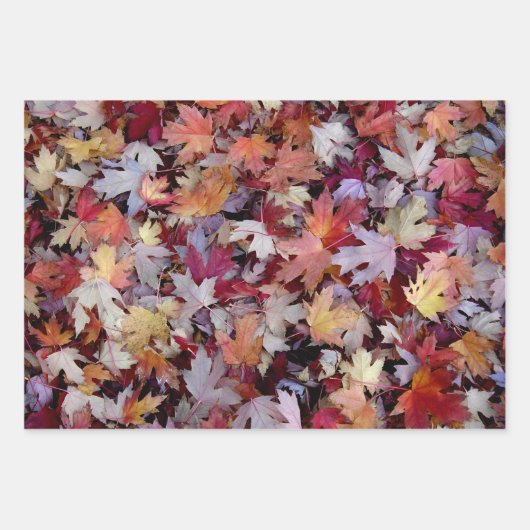 Rustic Fallen Autumn Tree Leaves Pattern Inpakpapier Vel (Voorkant 2)