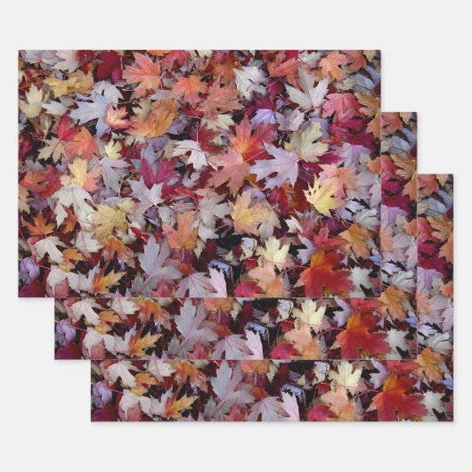 Rustic Fallen Autumn Tree Leaves Pattern Inpakpapier Vel (Set)