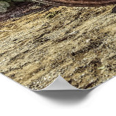 Rustic farm tractor poster (Hoek)