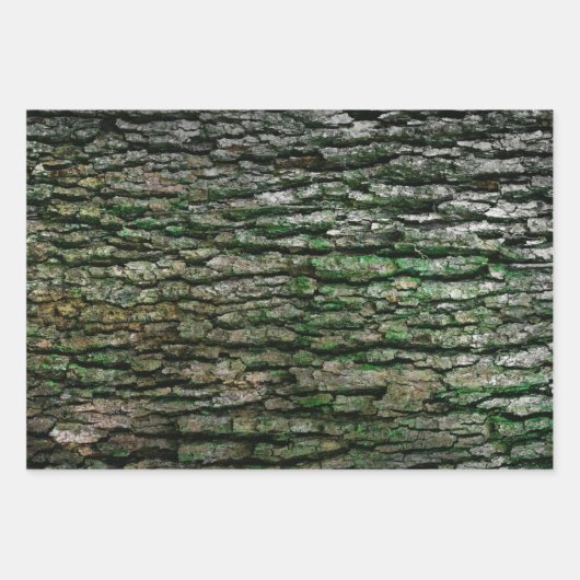 Rustic Faux Piece of Wood Grain Tree Bark Inpakpapier Vel (Voorkant 2)