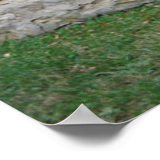 Rustic Flint Hills Gate Poster (Hoek)