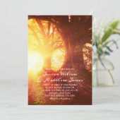 Rustic Forest Sunset Tree Country Summer Wedding Kaart (Staand voorkant)