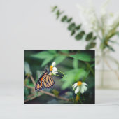 Rustic-foto | Monarch en Briefkaart van wilde bloe (Staand voorkant)