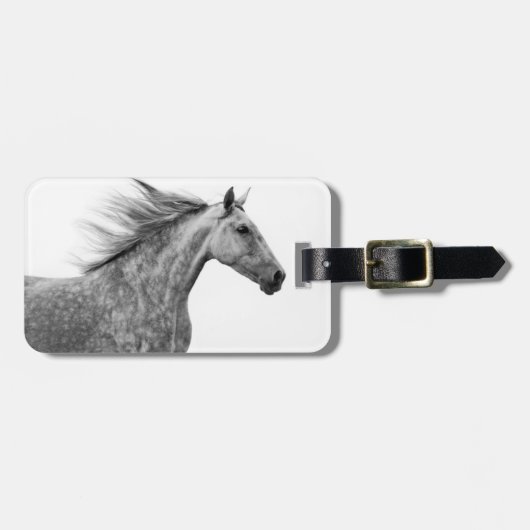 Rustic Galloping Andalusiaanse paarden Bagagelabel (Voorkant horizontaal)