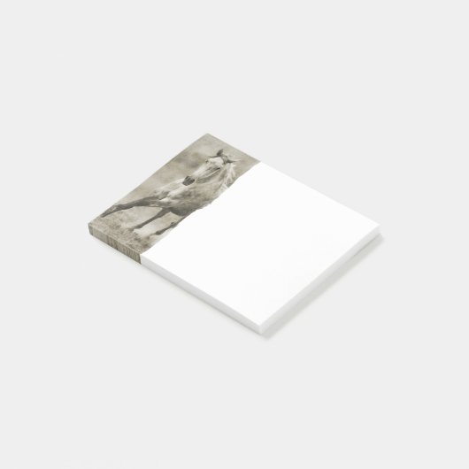 Rustic Galloping Andalusiaanse paarden Post-it® Notes (Schuin)