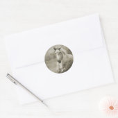Rustic Galloping Andalusiaanse paarden Ronde Sticker (Envelop)