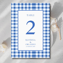 Rustic geruite babyblauwe ruitjes gingham bruiloft kaart