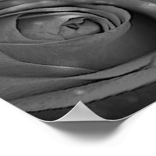 Rustic Glow Lantern Grey Rozen Weddenschap Poster (Hoek)