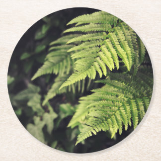 Rustic Green Fern-Onderzetters Ronde Kartonnen Onderzetter