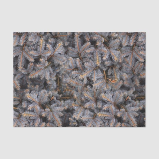 Rustic Greenery White Pine Tree Cotvoordcore Fores Tissuepapier (Voorkant)