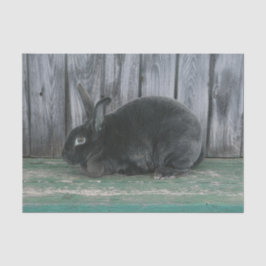 Rustic Grey Blauwgroen Bunny Rabbit Country Boerde Tissuepapier