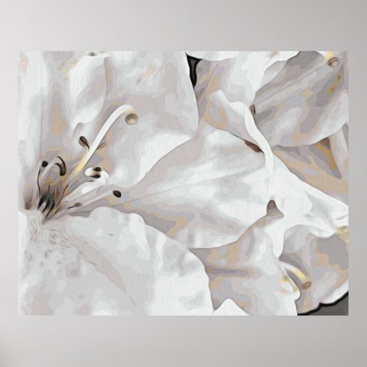 *~* Rustic Grunge Azalea Flowers White Neutral Poster (Voorkant)