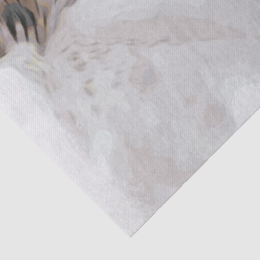 *~* Rustic Grunge Azalea Flowers White Neutral Tissuepapier (Detail)