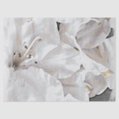 *~* Rustic Grunge Azalea Flowers White Neutral Tissuepapier (Voorkant)
