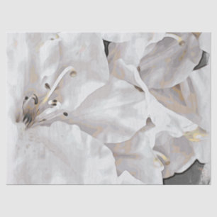 *~* Rustic Grunge Azalea Flowers White Neutral Tissuepapier