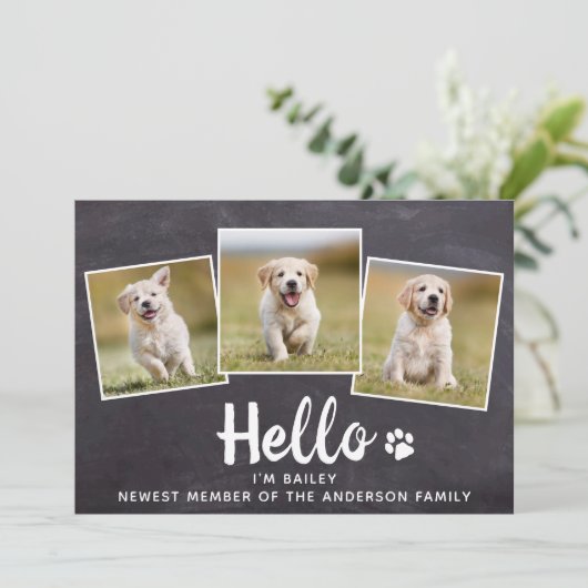 Rustic Hallo Photo Collage Puppy Dog New Pet Aankondiging (Staand voorkant)