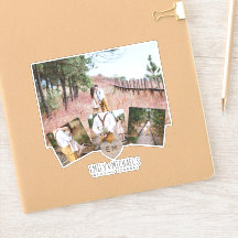 Rustic Heart Monogram Fotos Huwelijk Bruidsdouche