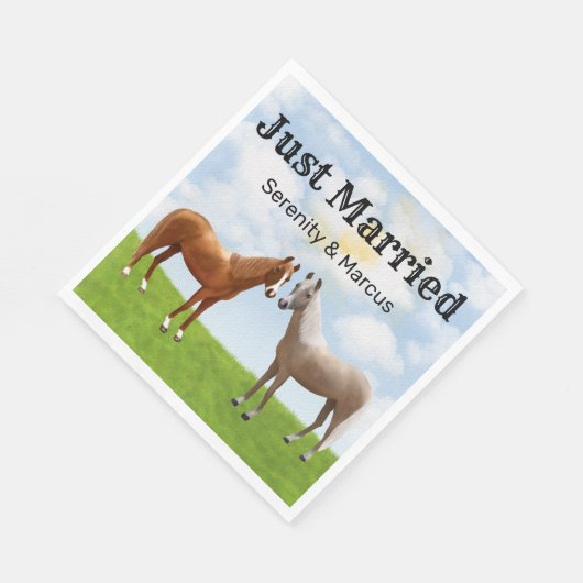 Rustic Horse Country net getrouwd met Westerne bru Servet (Hoek)