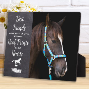 Rustic Horse Equestrian Keepomwille Horse Memorial Fotoplaat