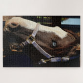 Rustic Horse Photography Puzzle- Original Photo Legpuzzel (Horizontaal)