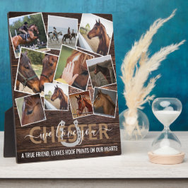 Rustic Houten Paard Herdenking 10 Foto's Fotoplaat