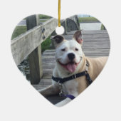 Rustic In Loving Memory Huisdier Herdenkingsfoto Keramisch Ornament (Achterkant)