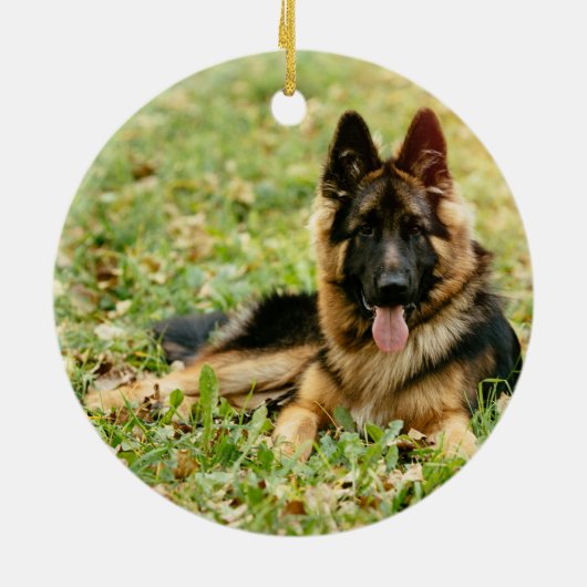 Rustic in Loving Memory PET Memorial Foto Keramisch Ornament (Achterkant)