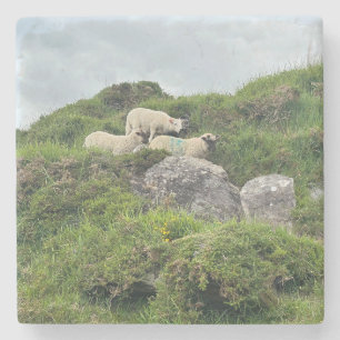 Rustic Ireland - Drie Ierse schapen Stenen Onderzetter