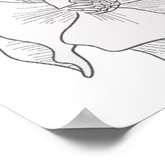 Rustic Ivory Magnolia Flowers Weddenschap Welkomst Poster (Hoek)