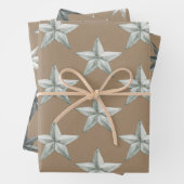 Rustic Kraft Metal Scandinavian Holiday Star Inpakpapier Vel (In situ)