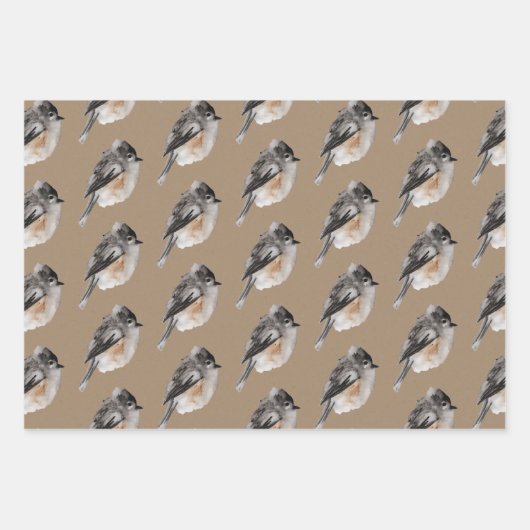 Rustic Kraft Winter Birds Sparrows Chickadees Inpakpapier Vel (Voorkant)