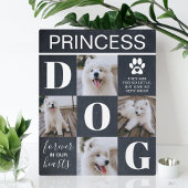 Rustic Leien Hondengedenkteken 4 Foto's Fotoplaat