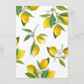 Rustic Lemon Vrijgezellenfeest adviseert en wenst Advieskaart (Achterkant)