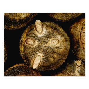 Rustic Log Roll Foto Afdruk
