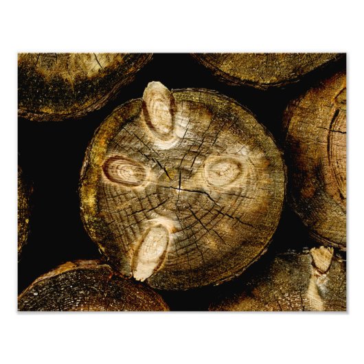 Rustic Log Roll Foto Afdruk (Voorkant)