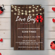 Rustic Love Bug Baby shower