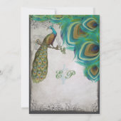 Rustic Luxe Peacock  veren Kaart (Achterkant)
