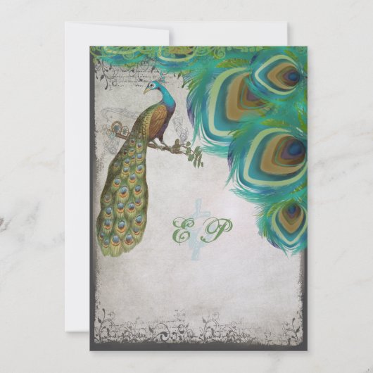 Rustic Luxe Peacock  veren Kaart (Achterkant)