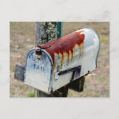 Rustic Mailbox Portret Briefkaart (Voorkant)